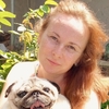 Анна, 33, г.Ясногорск Анна, 33, г.Ясногорск