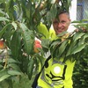 Роман, 37, г.Новосибирск Роман, 37, г.Новосибирск